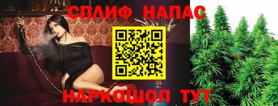 Альфа ПВП Камышлов