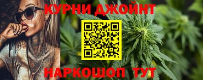 Альфа ПВП Камышлов