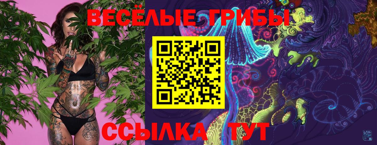 Лянтор  Псилоцибиновые грибы Magic Shrooms  Вход с VPN 